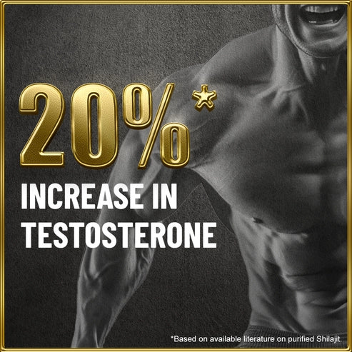 Himalayan Shilajit Resin 20g / 79% Fulvic Acid