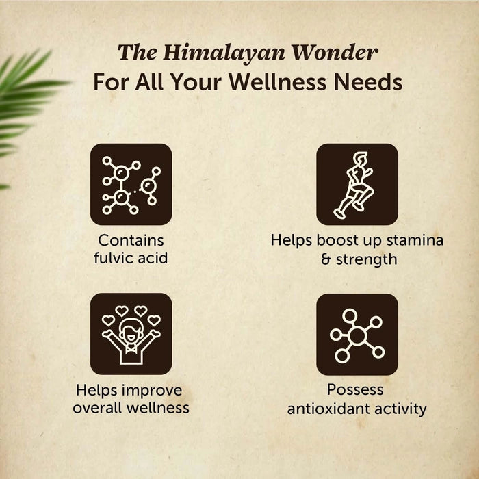 Himalayan Shilajit Resin 20g / 79% Fulvic Acid