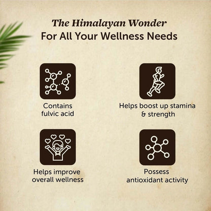 Himalayan Shilajit Resin 20g / 79% Fulvic Acid