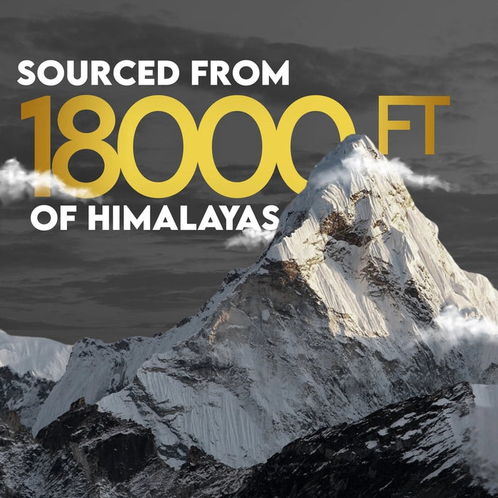 Himalayan Shilajit Resin 20g / 79% Fulvic Acid