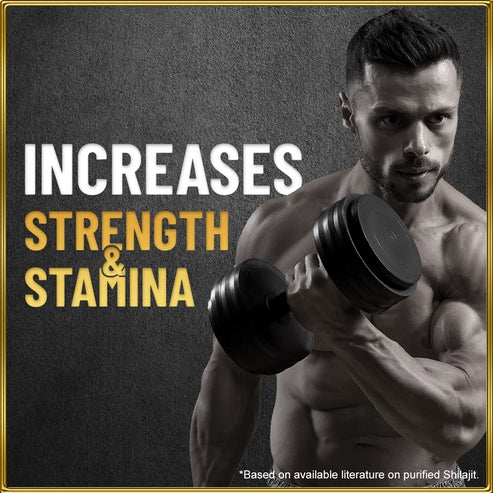 Himalayan Shilajit Resin 20g / 79% Fulvic Acid